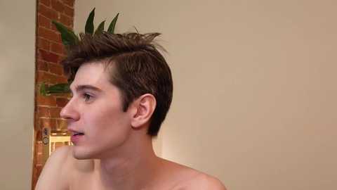 artdimension @ chaturbate on 20240224