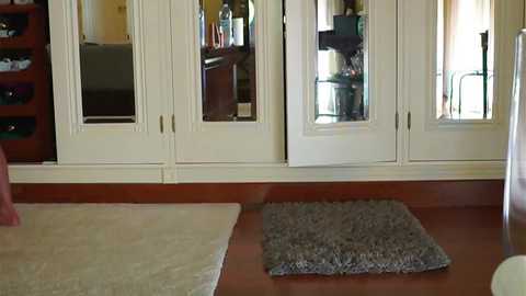 katyerave @ chaturbate on 20240224