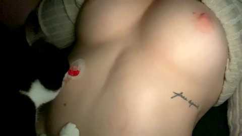 emersoncane @ chaturbate on 20240227