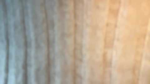 emersoncane @ chaturbate on 20240227