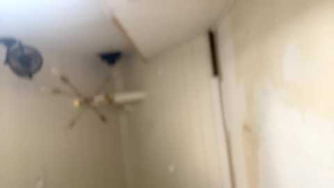 emersoncane @ chaturbate on 20240227