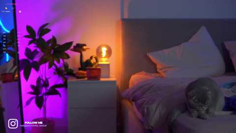 emma_land @ chaturbate on 20240227