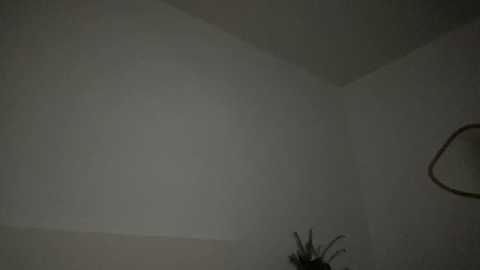 alexaryder @ chaturbate on 20240228