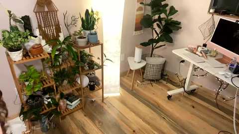 emersoncane @ chaturbate on 20240228