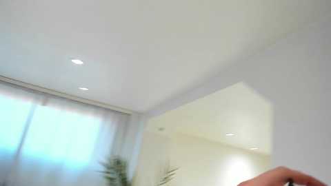 misspanthera @ chaturbate on 20240228