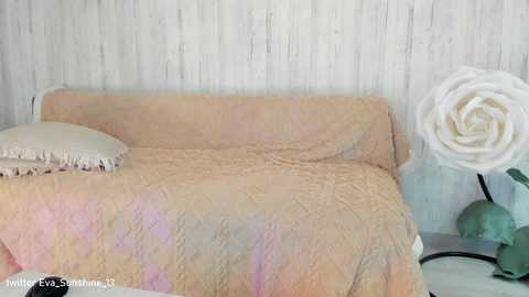 sunshine13_ @ chaturbate on 20240228