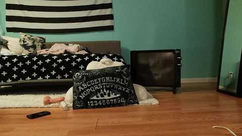 anabelleleigh @ chaturbate on 20240229