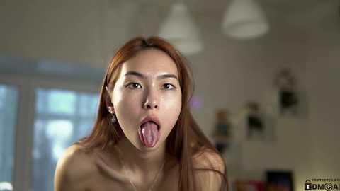 neferpita @ chaturbate on 20240229