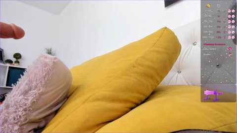 _timeless_paradox @ chaturbate on 20240301