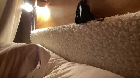 alexaryder @ chaturbate on 20240303