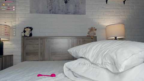 riskyproject @ chaturbate on 20240303