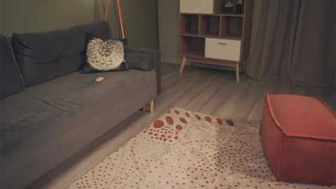 audreycarvin @ chaturbate on 20240304