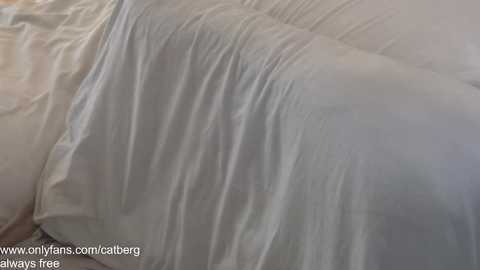 catberg @ chaturbate on 20240304