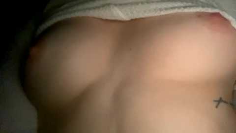 emersoncane @ chaturbate on 20240306