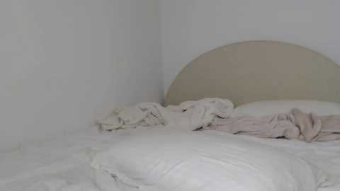itschanelxx @ chaturbate on 20240306