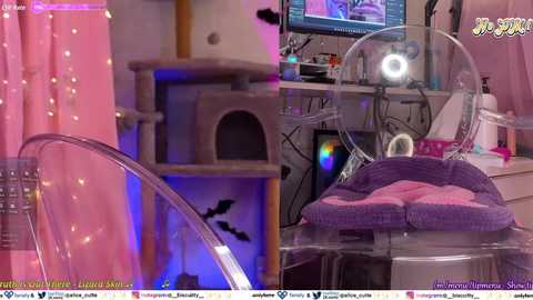 _biscuitty @ chaturbate on 20240307