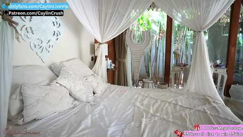 caylin @ chaturbate on 20240308