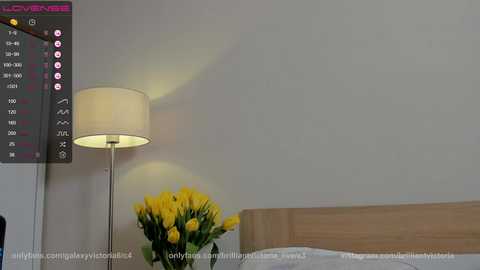 brilliantvictoria @ chaturbate on 20240311