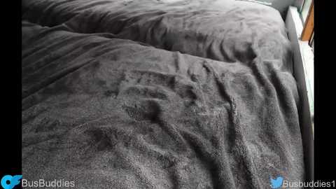 busbuddies @ chaturbate on 20240311