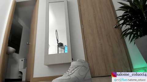 pavlovacoluccii_ @ chaturbate on 20240312