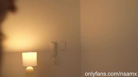 naughtysammx @ chaturbate on 20240313