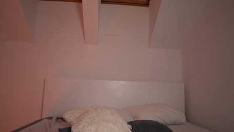 aria_diaz @ chaturbate on 20240314