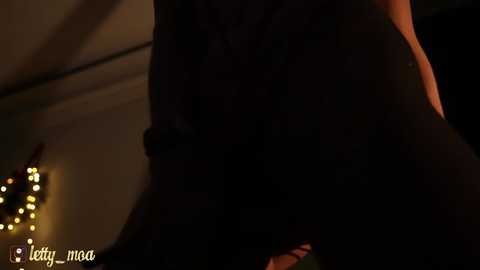 lettymoa @ chaturbate on 20240319