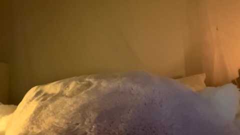 odessarosa @ chaturbate on 20240320