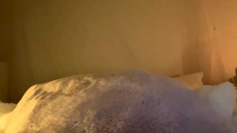 odessarosa @ chaturbate on 20240320