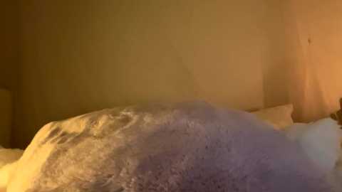 odessarosa @ chaturbate on 20240320