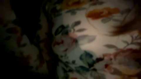 emersoncane @ chaturbate on 20240322