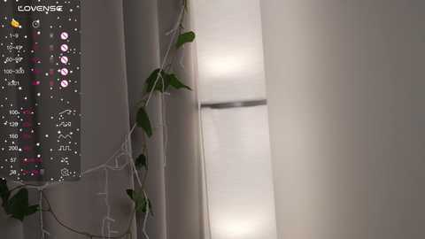 floret_joy @ chaturbate on 20240325