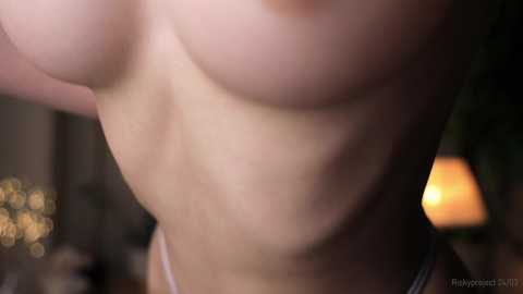 riskyproject @ chaturbate on 20240325
