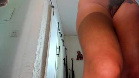 alicelighthouse @ chaturbate on 20240326
