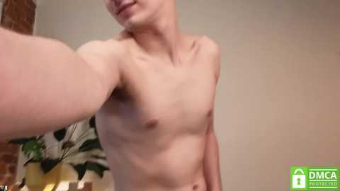 artdimension @ chaturbate on 20240329