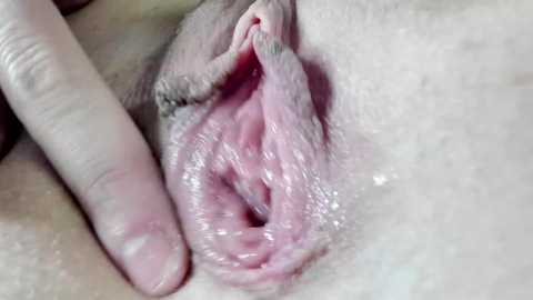 courtney_luv @ chaturbate on 20240331