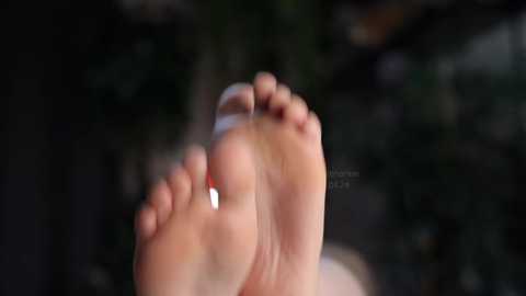 kateharrise @ chaturbate on 20240401
