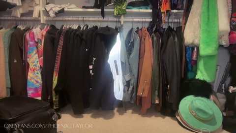 phoenix_taylor @ chaturbate on 20240405