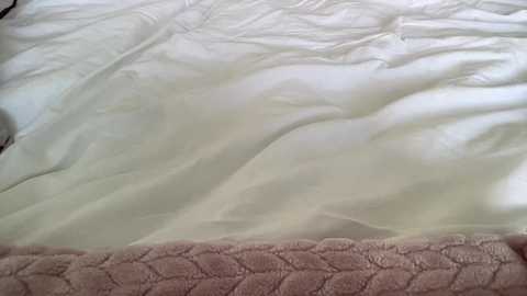 cutemaddie12 @ chaturbate on 20240406
