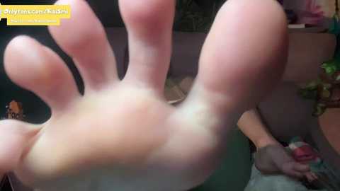 kaileeshy @ chaturbate on 20240406