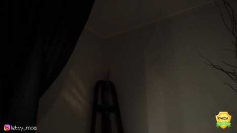 lettymoa @ chaturbate on 20240406