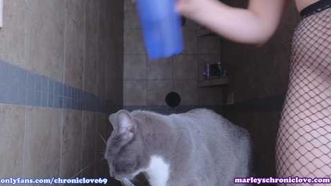 chroniclove @ chaturbate on 20240407