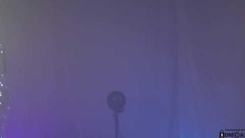 neferpita @ chaturbate on 20240409