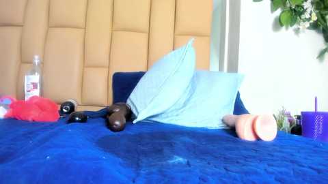 cory_velez @ chaturbate on 20240918