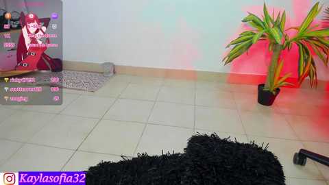 calypso_and_ge1 @ chaturbate on 20240919