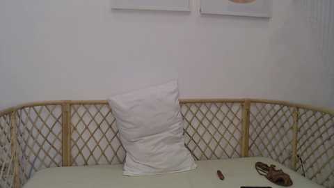 cbrad44 @ chaturbate on 20240919