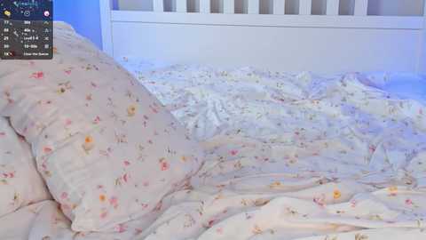 pinkncrazy @ chaturbate on 20240919