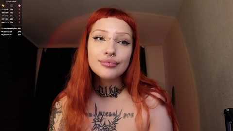 violetvio1ator @ chaturbate on 20240919
