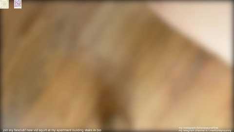 honey_sunshine @ chaturbate on 20240920