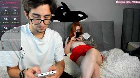 killer_whales